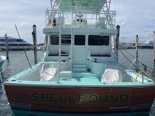 Spellbound at dock in Miami Beach