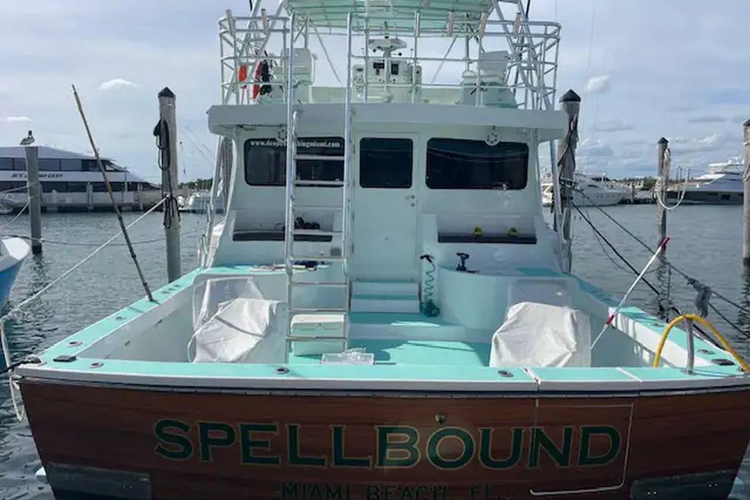 Spellbound at dock in Miami Beach