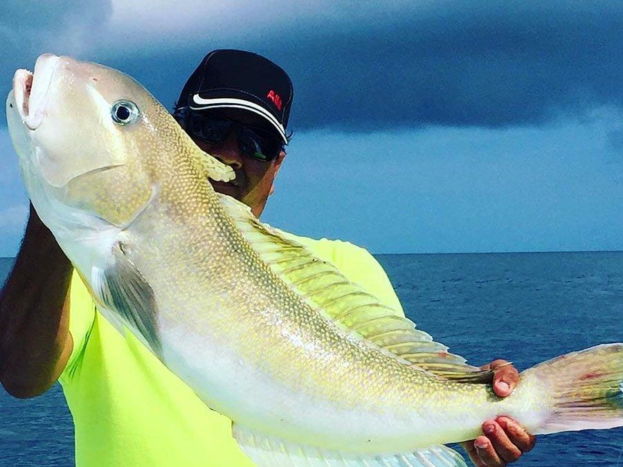 Angler holding a golden tilefish caught deep dropping aboard Spellbound, Miami