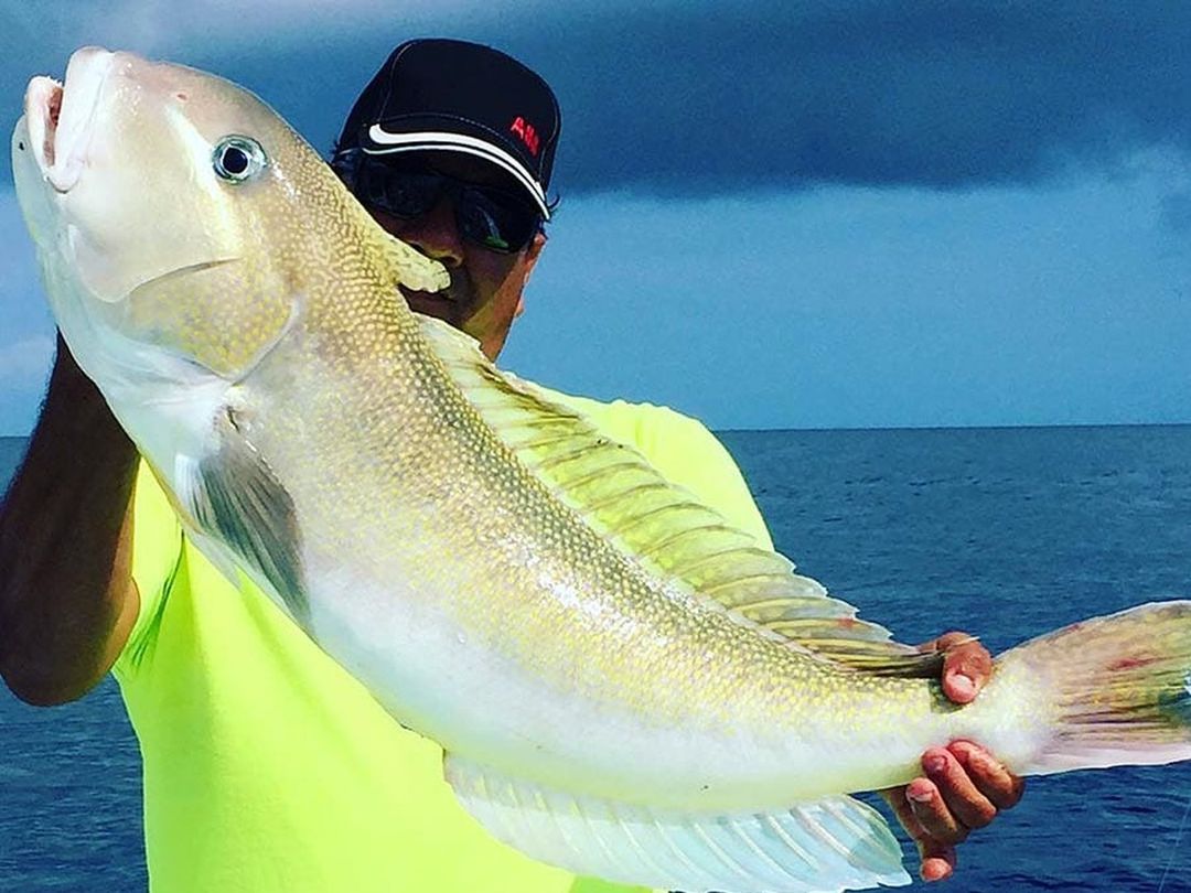 Angler with a golden tilefish caught aboard Spellbound, Miami
